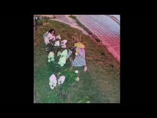 video by подслушано белозерск